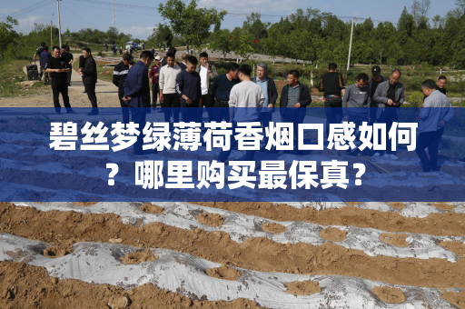 碧丝梦绿薄荷香烟口感如何？哪里购买最保真？